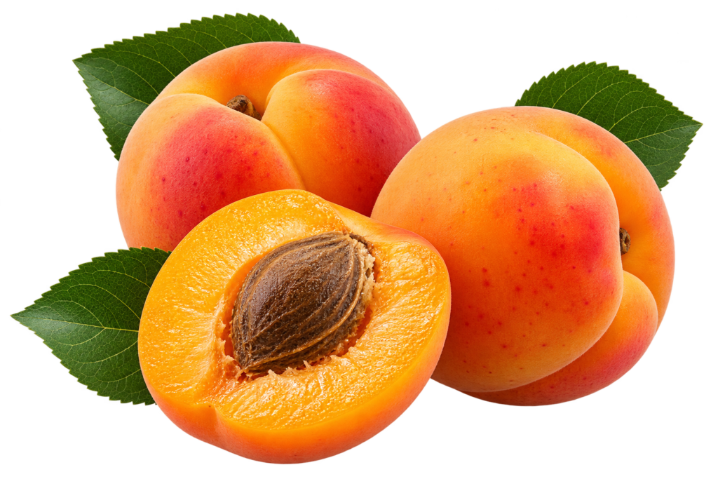 Fresh Apricot – 500g